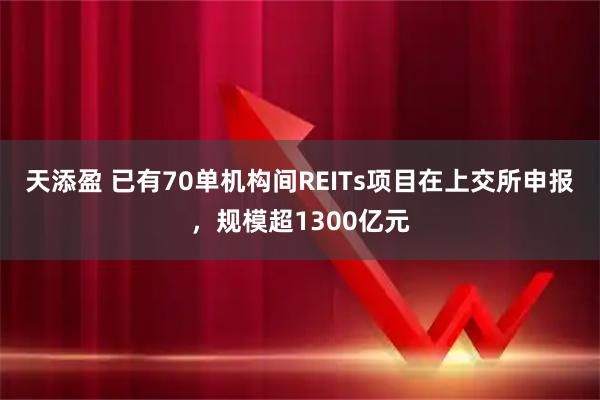 天添盈 已有70单机构间REITs项目在上交所申报，规模超1300亿元
